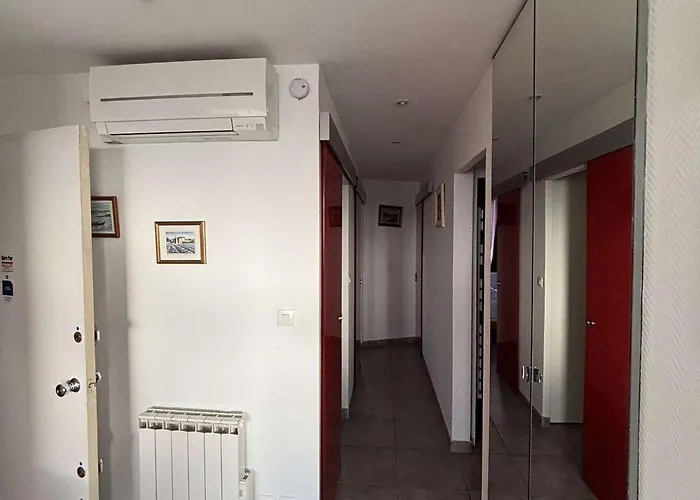 Lumineux A Balaruc-les-bains, Animaux Admis - Fr-1-503-63